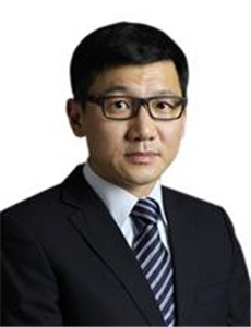 龙平