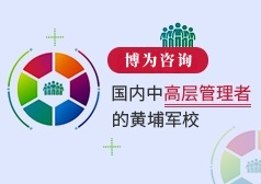 嘉峪关《公司战略与执行》